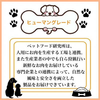 ふるさと納税 泉南市 ペットフード研究所の国産無添加猪肉ジャーキー100g |  | 03