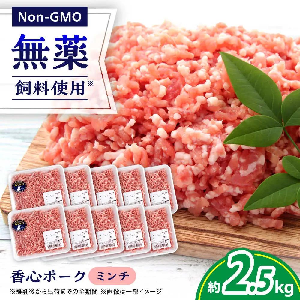 『香心ポーク』ミンチ 約250g×10パック 豚肉ミンチ[AYCK005]