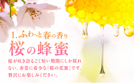 【はちみつお試しセット】 早春みつ・野山みつ 各1本（280g×2）　広川町 / 株式会社九州蜂の子本舗[AFAI043]
