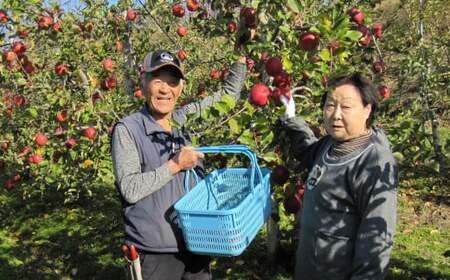 【清水農園】フレッシュ りんご 岩手県のオリジナル品種「紅いわて」約2kg 【 リンゴ 林檎 果物 フルーツ 期間限定 】2025年9月頃から順次発送予定 RT2224