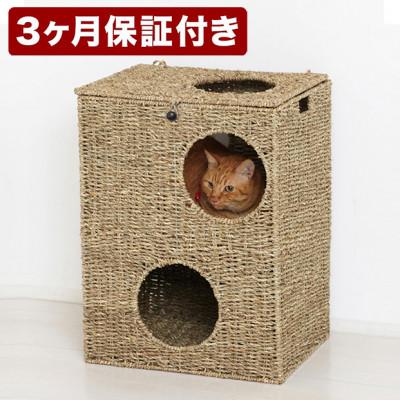 ふるさと納税 海南市 【キャットプレイハウス】猫の遊び場 AKU1006731