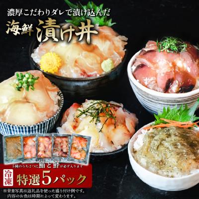 ふるさと納税 下妻市 海鮮漬け丼5種セット 100g入り×5パック