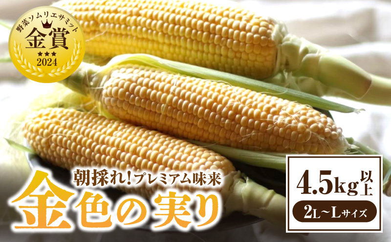 【12月限定価格】朝採れ!プレミアム味来4.5kg以上(2L～L)・S064_c2