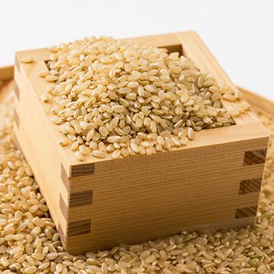ふるさと納税 太子町 令和6年度　揖保川の清流米(きぬむすめ30kg)【玄米】 |  | 03