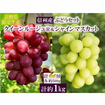 【ふるさと納税】クイーンルージュ&シャインマスカット　　2房セット【配送不可地域：離島】【1398646】