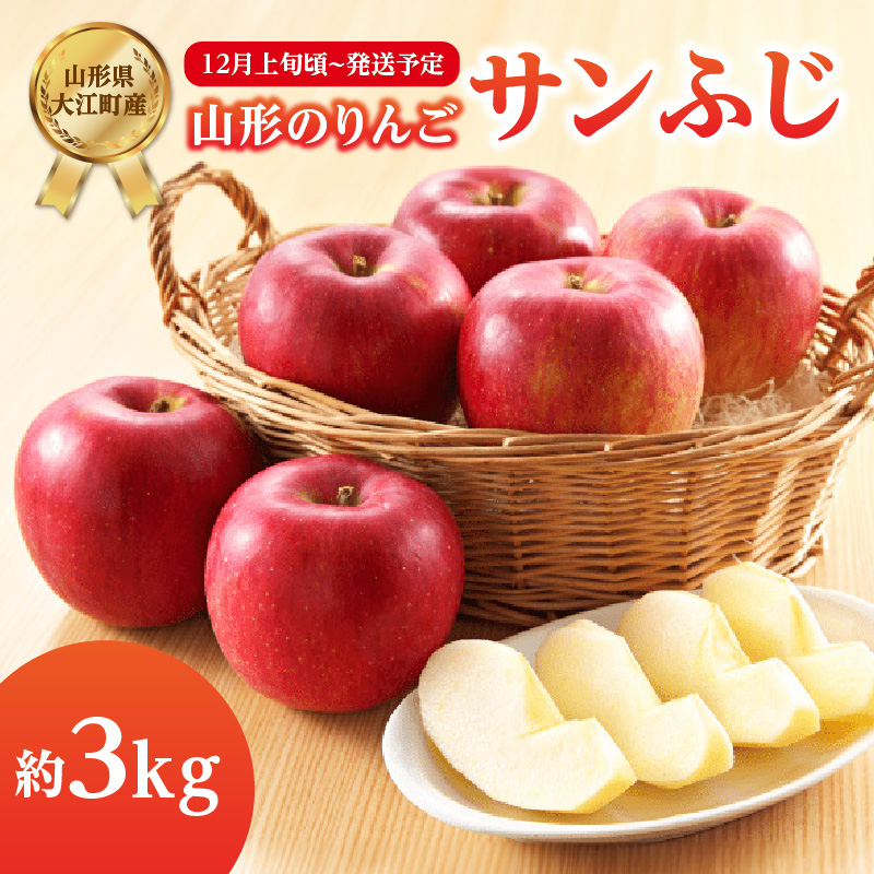 《先行受付》サンふじ約3kg 【2026年12月上旬頃～発送予定】【山形りんご・大江町産】