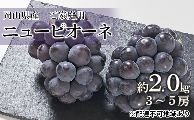 ぶどう 2025年 先行予約 ご家庭用 ニュー ピオーネ 約2.0kg （3～5房） ブドウ 葡萄  岡山県産 国産 フルーツ 果物 