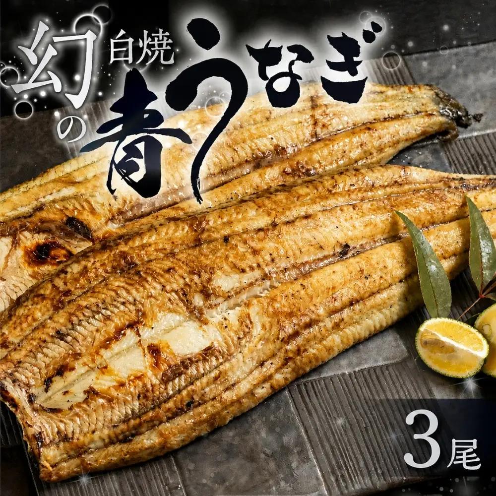 最高級 特上 幻の青うなぎ 3尾 うなぎ 白焼 