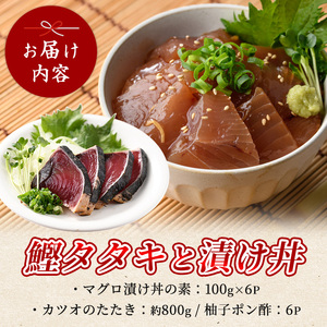 カツオのたたき(約800g)とマグロの海鮮漬け丼(100g×6袋)セット 山川町漁協 IB039-004 海鮮丼 海鮮丼 
