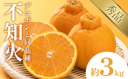 不知火 デコポン 同品種 約3kg 日本フルーツ株式会社 熊本県 荒尾市 《1月下旬-2月末頃出荷予定》 デコポン 果物 秀品 フルーツ スイーツ デザート ギフト ご贈答