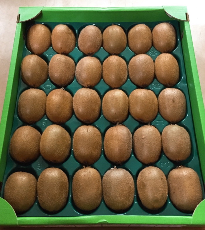 和歌山産 キウイフルーツ M～4Lサイズ 約3.6kg 秀品 ※2026年1月下旬～3月中旬頃に順次発送予定 ※北海道・沖縄・離島への配送不可