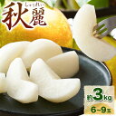 【ふるさと納税】 【先行予約】梨　秋麗 約3kg 旬菜まるや 《8月下旬～9月中旬頃出荷》 鳥取県 八頭町 送料無料 なし 果物 フルーツ ナシ