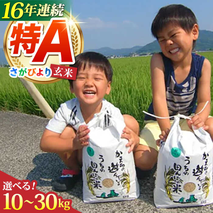 【ふるさと納税】【選べる容量・発送月】令和8年産 さがびより 玄米 （ 10kg / 20kg / 30kg ）【ひなたむらのお米】 米 玄米 お米 ご飯 食品 ゲンマイ コメ 特A 特A評価 特A米 送料無料 先行予約 佐賀県 江北町 九州 [HAC005]