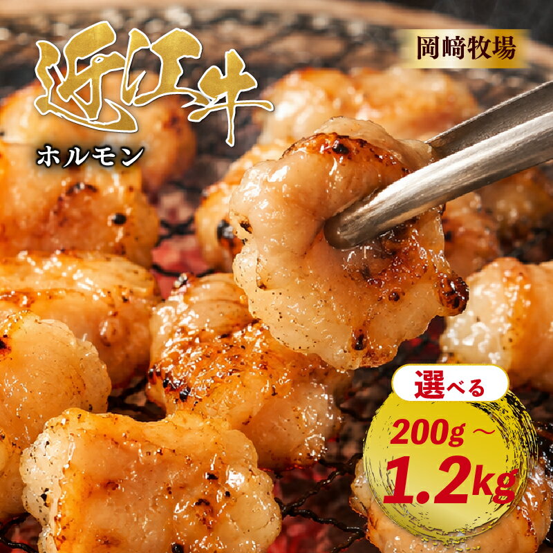 【ふるさと納税】近江牛 ホルモン 200g ～ 1.2kg 完熟近江牛 近江日野牛 ふるさと納税 焼肉 やきにく ホルモン ほるもん 小腸 コプチャン プリプリ 焼き肉 BBQ キャンプ 一人焼肉 焼肉 焼き肉 牛肉 長期肥育 ブランド牛 生体 熟成 岡崎牧場 日野町 岡崎 精肉店 牧場