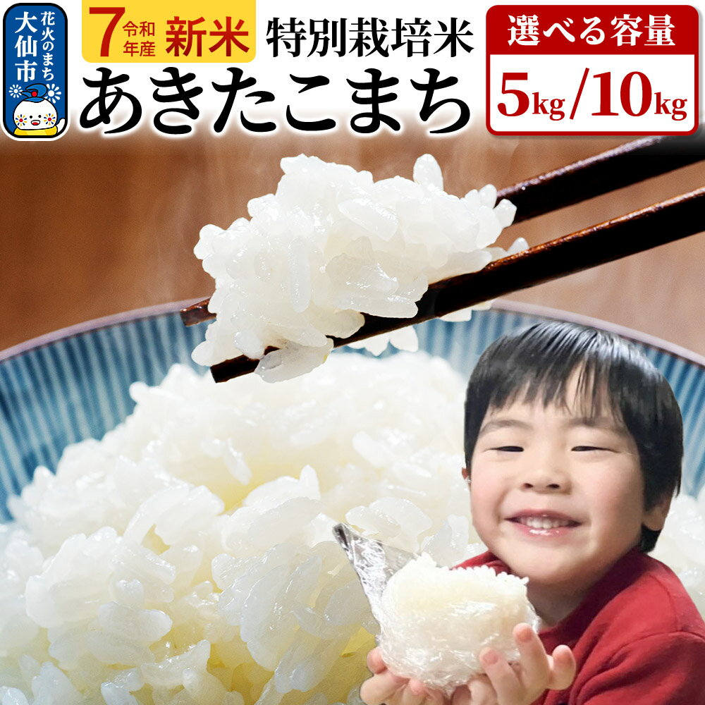 【ふるさと納税】新米 米 令和7年産【特別栽培米】あきたこまち【精米】選べる容量【5kg／10kg】