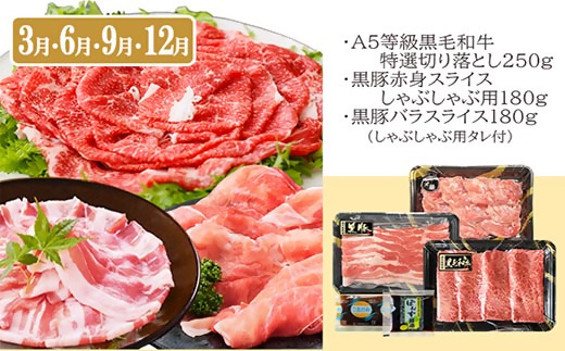 定期便(3回配送)鹿児島産A5等級黒毛和牛＆黒豚 EE−6014【配送不可地域：離島】【1471286】