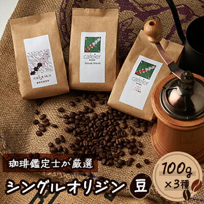 【ふるさと納税】シングルオリジン【豆】　3種セット　100g×3種【配送不可地域：離島】【1409260】