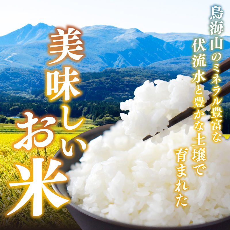 【8ヵ月定期便】令和7年度産 ブレンド米 白米 10kg×8ヵ月 精