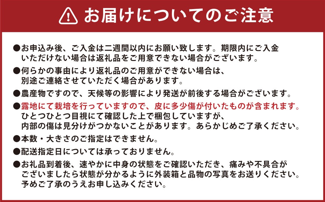 【先行受付】 とうもろこし ピュアホワイト 約4kg （11～16本） トウモロコシ 白いとうもろこし 白いスイートコーン コーン 野菜 【2027年6月上旬から6月下旬発送予定】