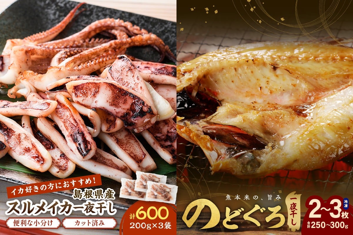 
            【チョイス限定】のどぐろ一夜干し２～３枚 スルメイカ一夜干し600ｇ セット のどぐろ アカムツ いか スルメイカ 干物 一夜干し 魚 魚介類 小分け 個包装 贈答 ギフト 冷凍 【005_2074】
          