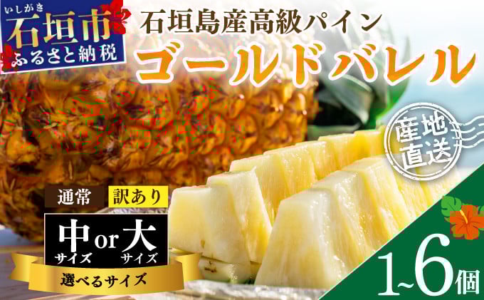 
            【先行予約】《2025年夏季 順次発送》石垣島産・ゴールドバレルパイン 高級パイン 【通常・訳あり】【選べるサイズ】
          