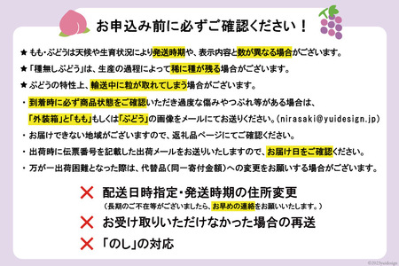 【2026年発送！先行予約！】ちっとばかしフルーツ3回定期便 桃 巨峰 シャインマスカット 【年3回】NS-1016