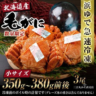 ふるさと納税 白老町 【浜ゆで自社タグ付】北海道産ボイル毛ガニ350g〜380g前後×3尾