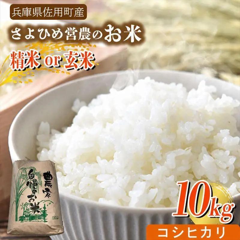 【兵庫県佐用町産】さよひめ営農のお米 10kg コシヒカリ/精米