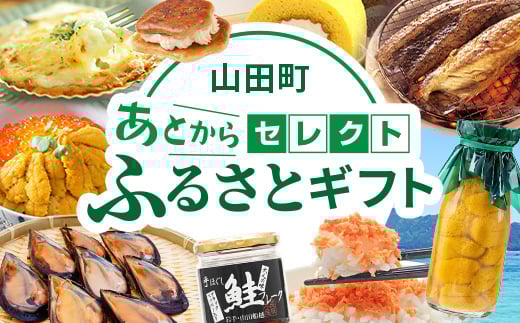 
            あとからセレクト【ふるさとギフト】寄附5,000円相当 YAS001
          