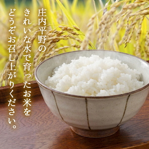 SA2914　令和7年産【精米】はえぬき　5kg(5kg×1袋) GS