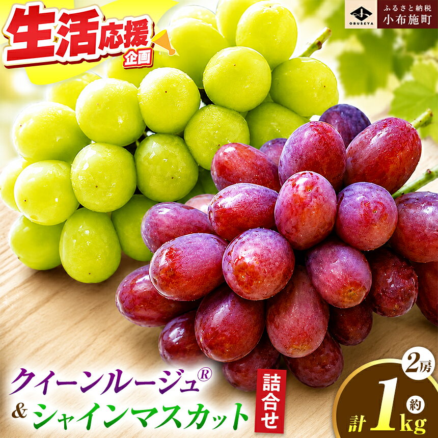 【ふるさと納税】先行受付 クイーンルージュ® & シャインマスカット 詰合せ 約1kg 各1房 【2026年9月上旬～11月上旬発送】［新規就農者応援コース 幸作会］｜フルーツ ブドウ 果物 ぶどう 長野 信州 クール便 冷蔵便 詰め合わせ セット 食べ比べ 詰め合わせ 小布施町