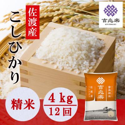 ふるさと納税 佐渡市 【毎月定期便】雪温精法　佐渡産こしひかり 4kg全12回