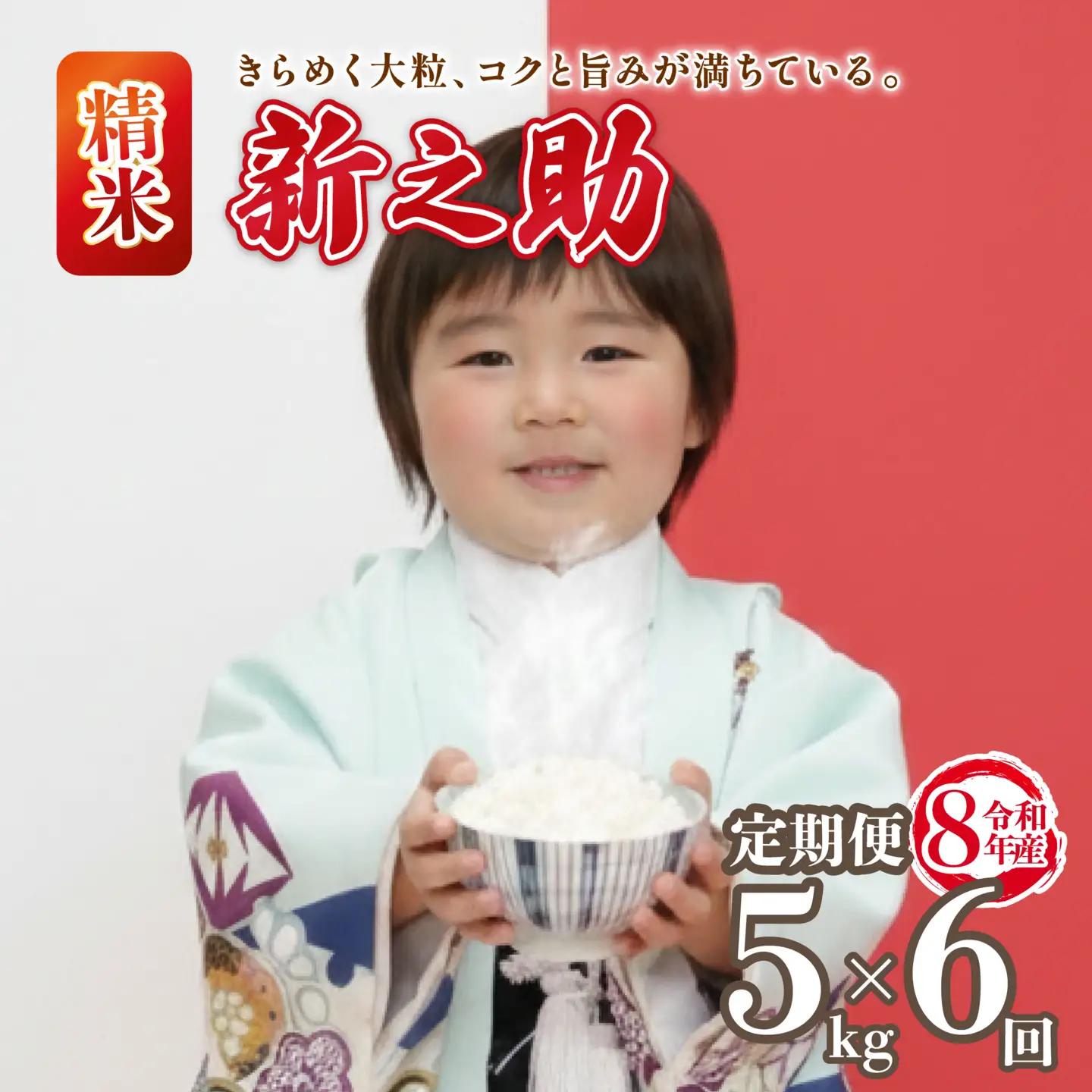 先行予約 令和8年産 新之助 定期便 5kg 6回 30kg しんのすけ 白米 米 国産 環境こだわり おこめ お米 ご飯 ごはん オニギリ お弁当 kome 6か月 送料無料 数量限定 農家直送 産