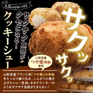 【最大６か月待ち】かみのやまシュー　１０個　0048-2406