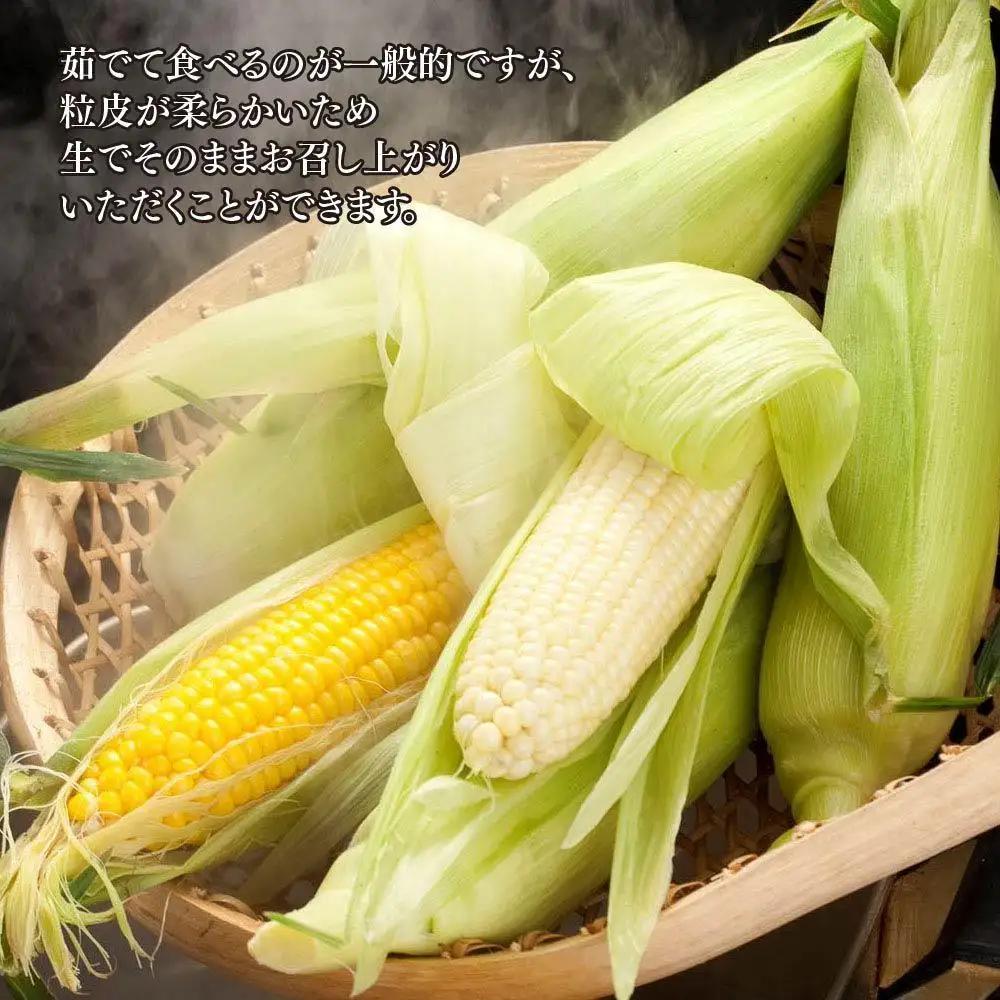 【先行予約】旭川近郊産 白と黄色のとうもろこしセット　各5本（計3.5kg）2026年8月上旬から発送開始 | とうもろこし 北海道産 _00094