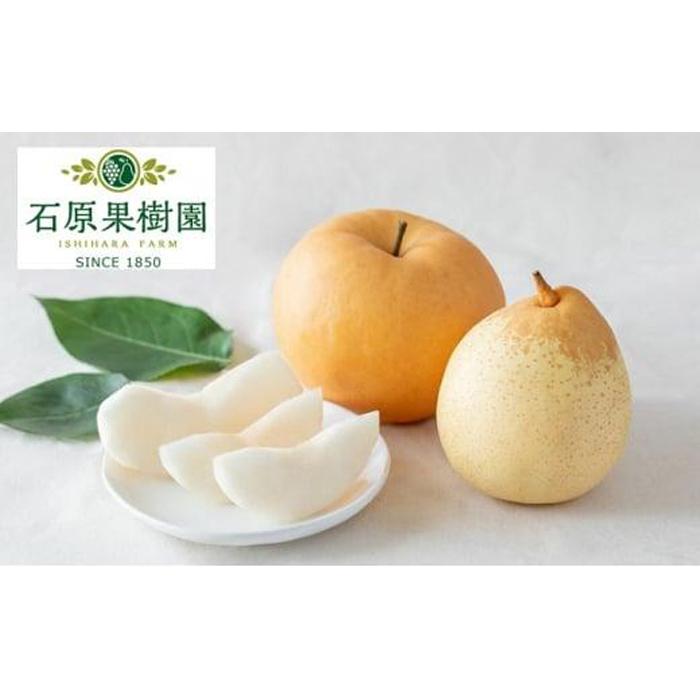 【ふるさと納税】梨 2025年 先行予約 備前横綱梨（あたご梨） 超大玉1玉 1kg～1.4kg・備前乙女梨（鴨梨） 3～5玉 詰合せ 合計3.0kg以上 贈答箱 岡山県産 フルーツ ギフト 石原果樹園 | フルーツ 果物 くだもの