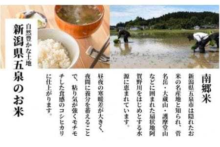 【令和7年度産米】特別栽培米コシヒカリ100％「南郷米」精米 5kg（5kg×1袋） |五泉市 コシヒカリ