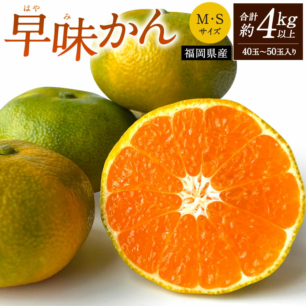 【ふるさと納税】福岡県産 早味かん 約4kg以上(40玉～50玉入り) M・Sサイズ 極早生 みかん 蜜柑 果物 フルーツ 柑橘 はやみかん 旬 新鮮 青果物 ジューシー 予約 国産 福岡県 九州 【2025年9月下旬～10月下旬発送予定】