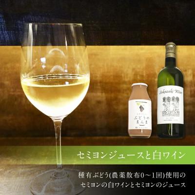 ふるさと納税 幸田町 幸田町産ぶどう使用100%セミヨンジュース2本、セミヨンの白ワイン1本　詰め合わせ |  | 01