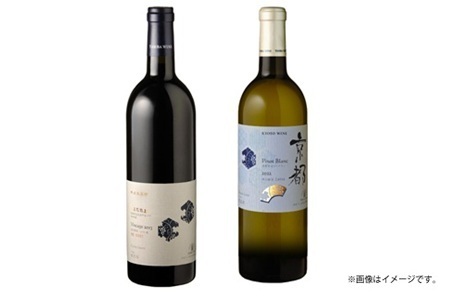 【定期便】丹波ワイン 12カ月 定期便 【 丹波ワイン 国産ぶどう使用 国産ワイン 京都 丹波 自社農園 白ワイン 赤ワイン ワイン 】 ※北海道・東北・沖縄・その他離島は配送不可 [340SJ001