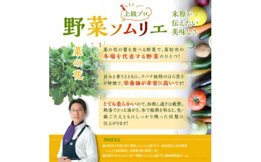 旬の野菜 菜の花 (パック入り) 約600g【2024-12月上旬～2025-3月下旬配送】