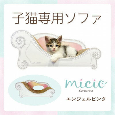 【ふるさと納税】子猫のおしゃれ爪とぎ「カリカリーナ micio」(3色から選択可)【G1660883】