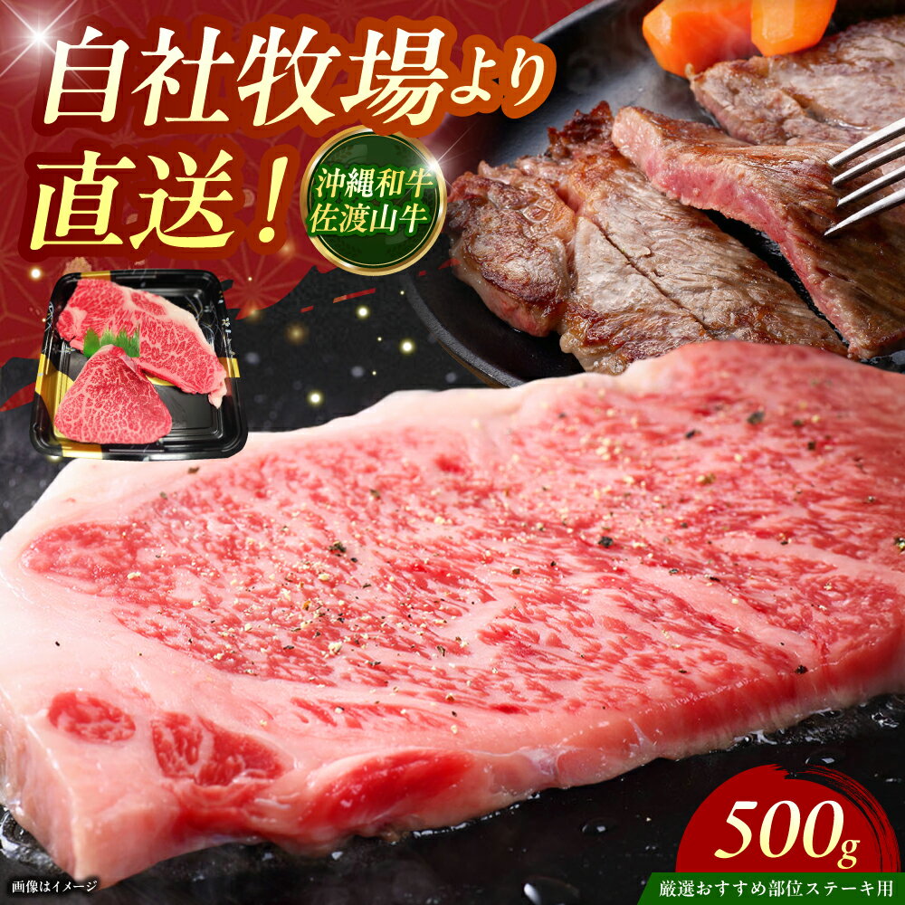 【ふるさと納税】【厳選！おすすめ部位】沖縄和牛 佐渡山牛 ステーキ肉 500g ステーキ 牛肉 和牛 焼肉 赤身 人気 おすすめ 国産 極上 冷凍 沖縄市 / 肉のサブロー [BCBC001]