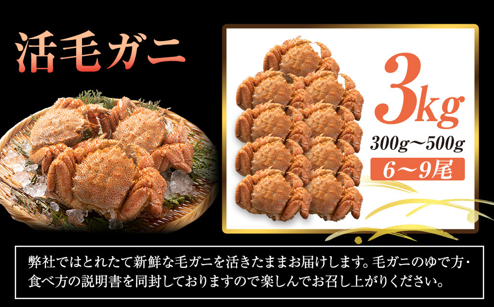 2025年産　活毛ガニ　３kg　300g～500g　６～９尾
