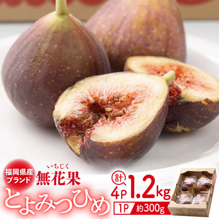 【ふるさと納税】【25年8月上旬より発送】先行予約 福岡産 ブランド無花果・とよみつひめ（約300g×4パック）＜南国フルーツ株式会社＞那珂川市 | [GCD020] 10000 10000円 1万円 以上