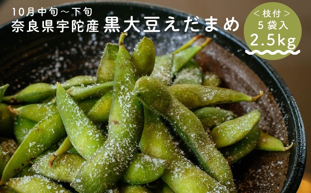 ＜10月中旬～下旬発送＞宇陀 黒大豆 えだまめ 合計約2.5kg (5袋入) ／ ふるさと納税 枝豆 枝付 黒大豆 生豆 季節限定 奈良県 宇陀市 宇陀営農経済センター