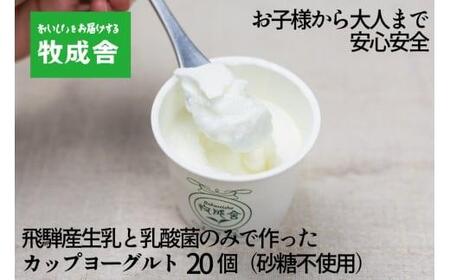 砂糖不使用 プレーンヨーグルト 20個 飛騨の牛乳屋 牧成舎 生乳100％ 朝食におすすめ 無糖ヨーグルト プレーンヨーグルト 砂糖不使用 生乳 ヨーグルト 乳製品 DF006