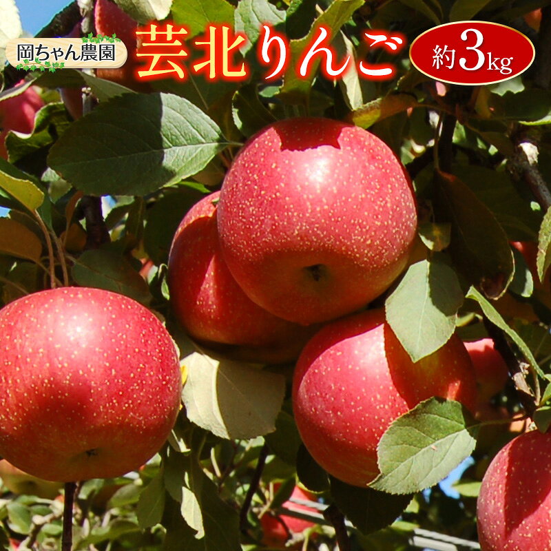 【ふるさと納税】≪10月中旬以降発送≫りんご 国産 3kg 農家直送 岡ちゃん農園 芸北りんご 林檎 夢つがる 秋映 とき すわっこ シナノスイート 陽光 ぐんま名月 シナノゴールド ふじ