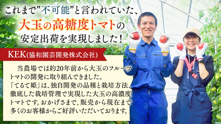 【2024年2月上旬発送開始】スーパーフルーツトマト てるて姫 中箱  約1.2kg×1箱 【12〜15玉/1箱】 糖度9度以上 ブランドトマト フルーツトマト トマト とまと  [BC033sa]