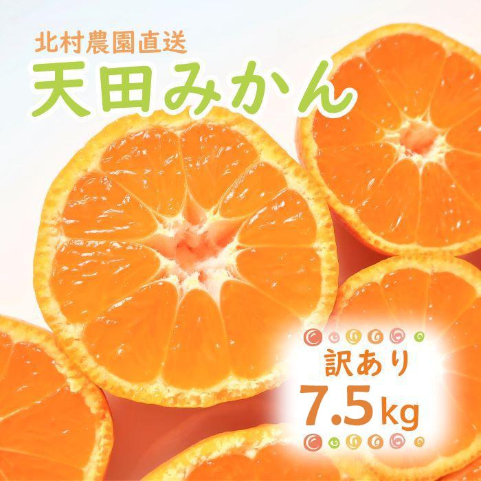 【ふるさと納税】先行予約【2025年11月下旬より発送】濃厚温州みかんご家庭用7.5kg（和歌山天田みかん）みかんの産地和歌山　北村農園直送